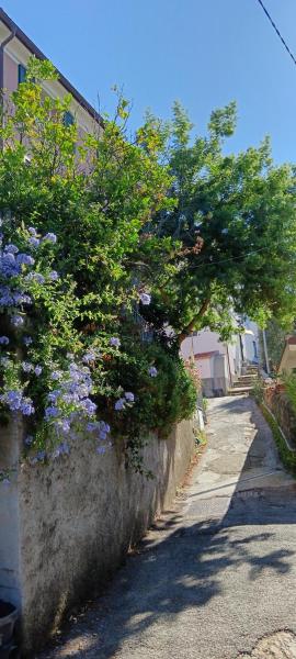 Il Mare a un passo da casa SAMY appartamento intero 5 posti letto 60 mt Sestri Levante